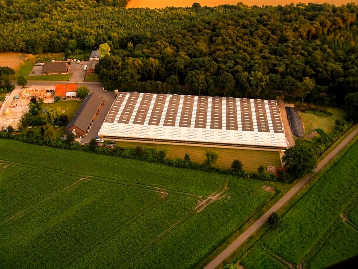 Brabants landschap rond De Mortel vanuit de luchtballon (sfeer 1)