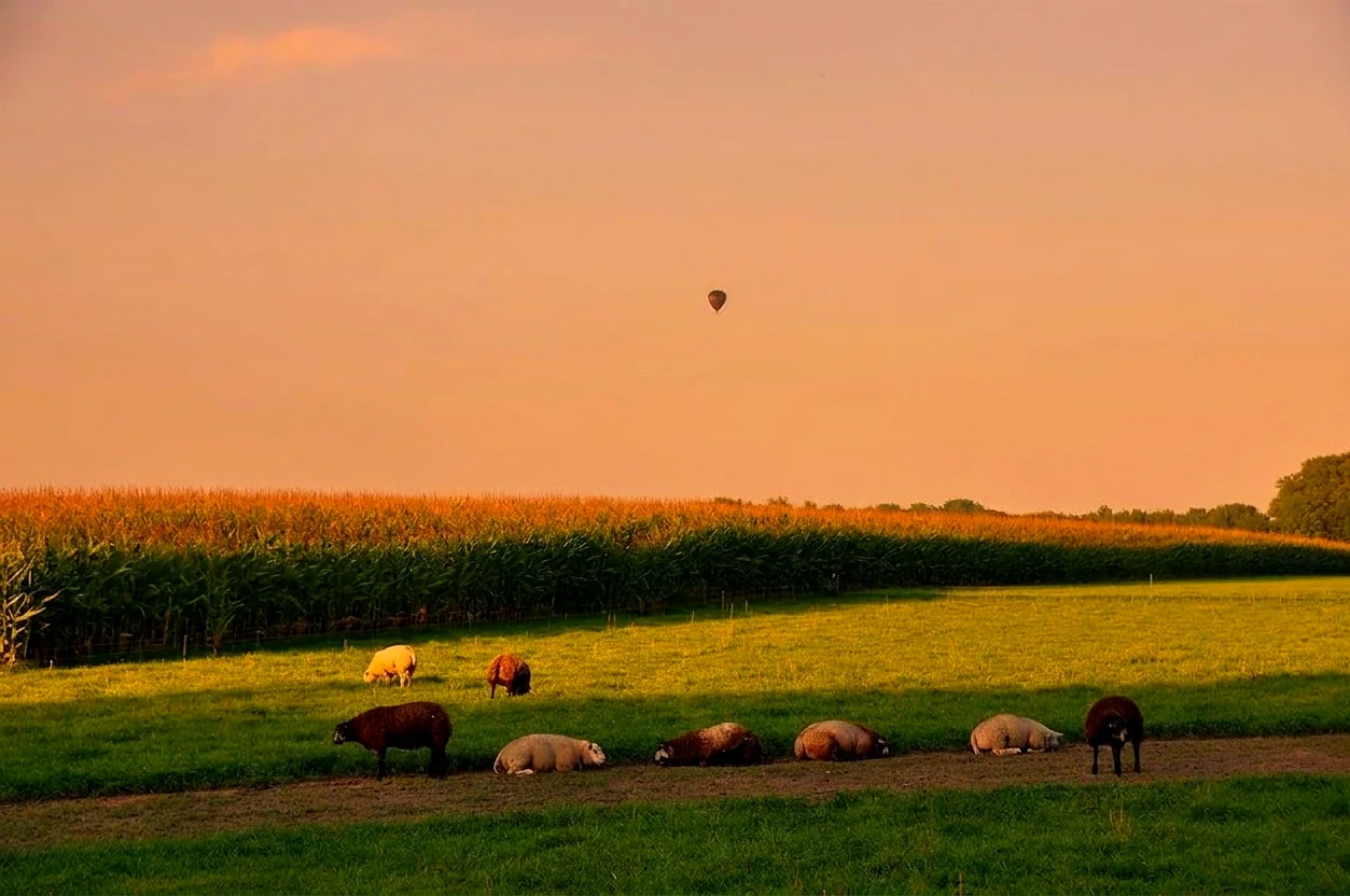 Brabantse landschap rond Handel vanuit de luchtballon