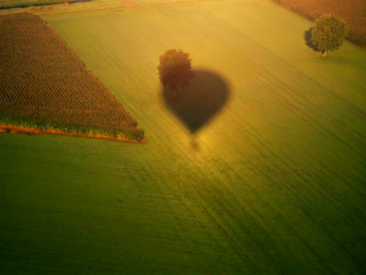 Brabants landschap rond Hapert vanuit de luchtballon (sfeer 1)