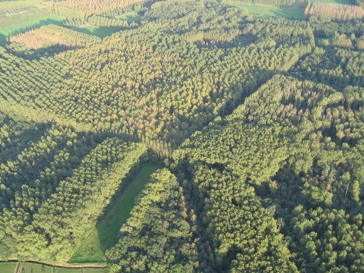 Brabantse landschap rond Heeswijk-Dinther vanuit de luchtballon